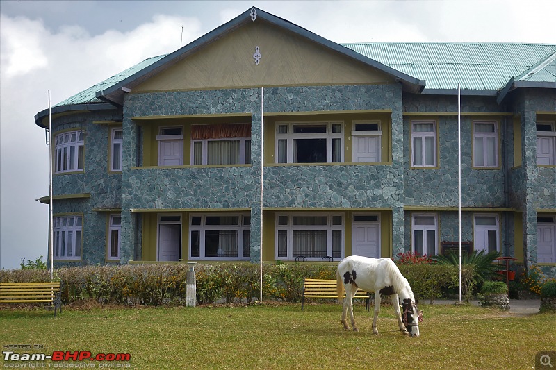 Autumn Drive in an Innova Crysta to Dooars, Kolakham, Kalimpong & Darjeeling-10.-white-horse-front-hotel.jpg