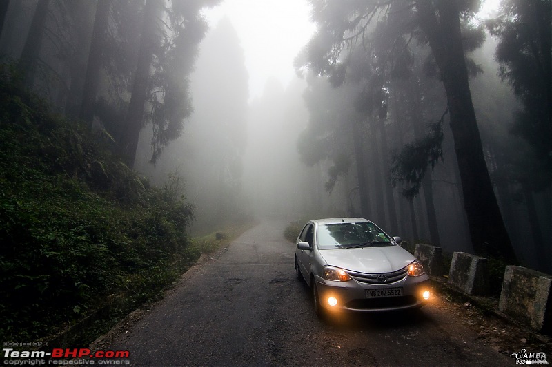 Autumn Drive in an Innova Crysta to Dooars, Kolakham, Kalimpong & Darjeeling-12273748_961877327217494_8751314445587514489_o.jpg