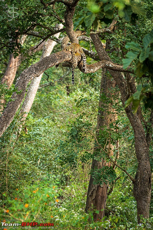 Kabini - A magical experience-kbn12200306.jpg