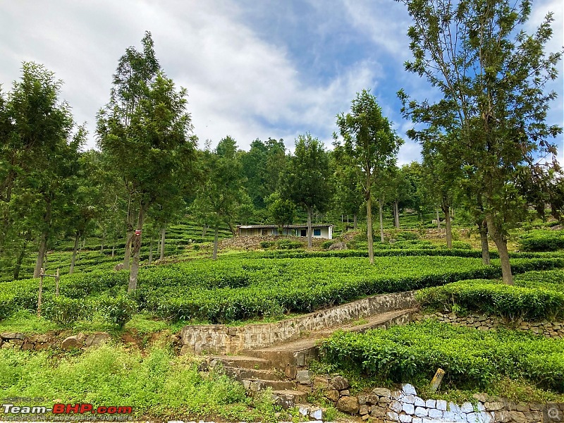 Yet another solo ride this weekend - Ooty trip on my Yamaha RX100-15.jpg