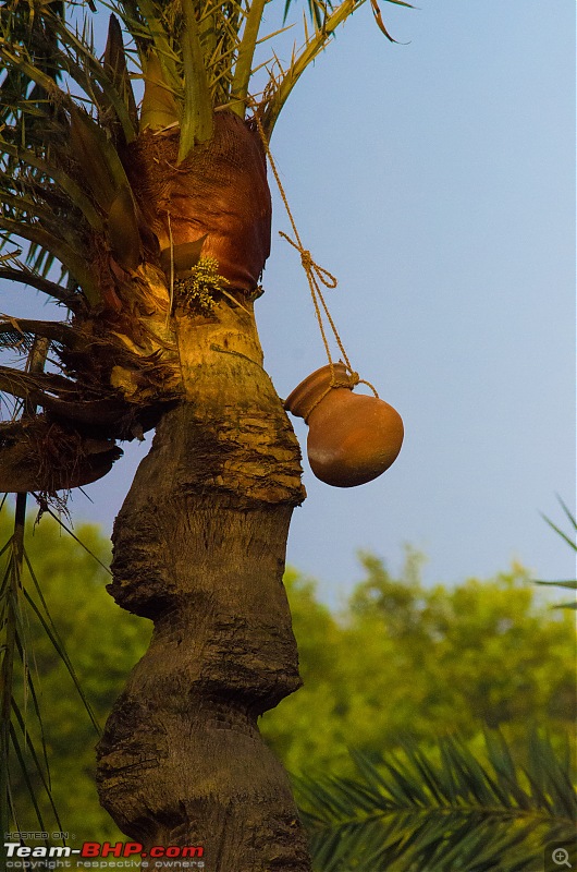 Winter weekends around Calcutta-_dsc0844.jpg