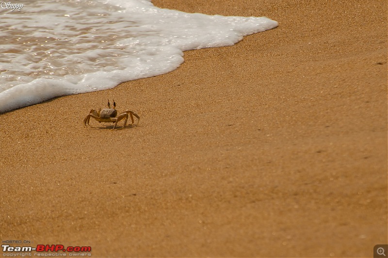 Sea, Sand and the Sun! Road Trip from Kolkata to Puri  The soul of incredible India-5.jpg