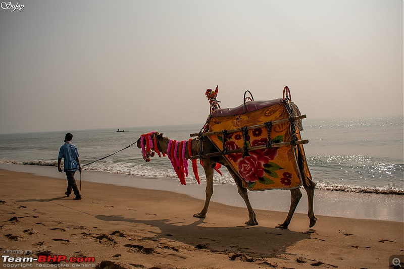 Sea, Sand and the Sun! Road Trip from Kolkata to Puri  The soul of incredible India-3.jpg