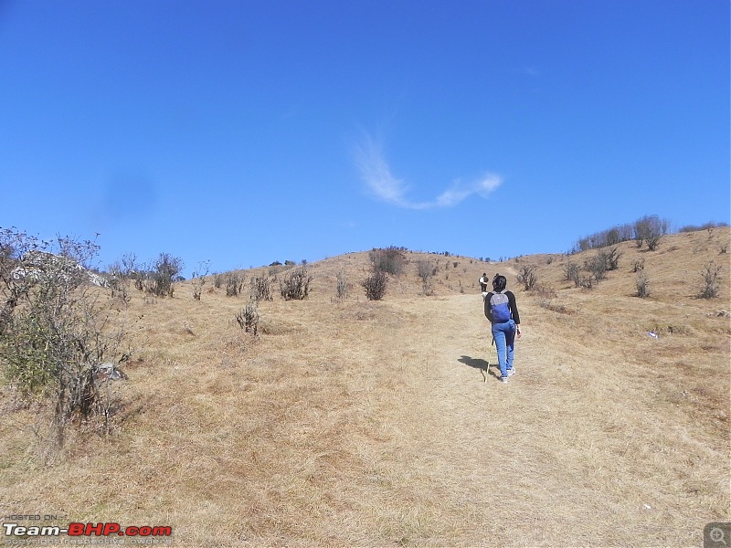 Trek to Sandakphu and Phalut-dscn4698.jpg