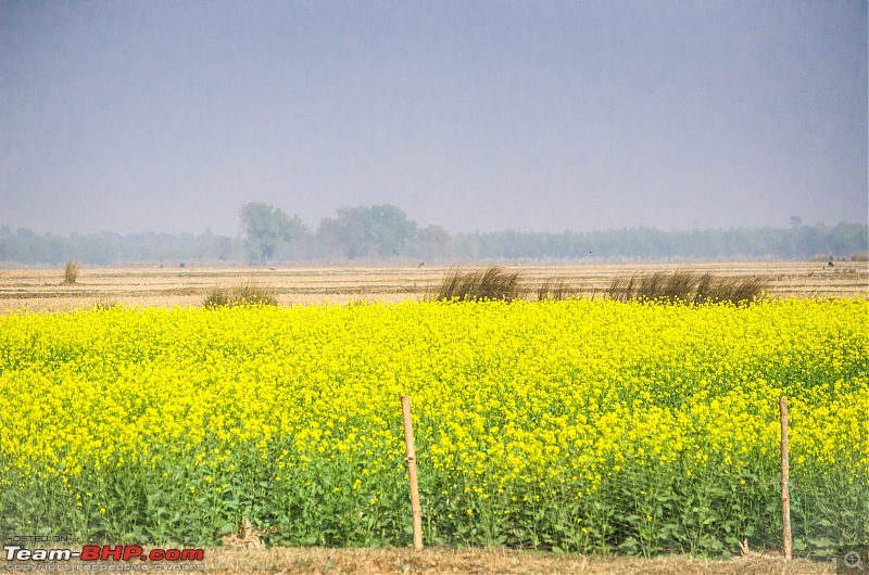 Winter weekends around Calcutta-_dsc0958.jpg