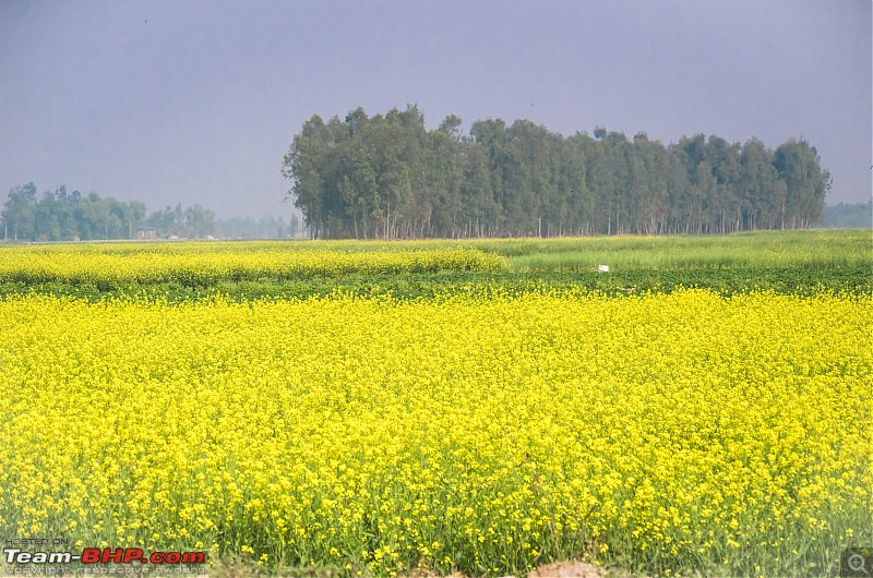 Winter weekends around Calcutta-_dsc0962.jpg