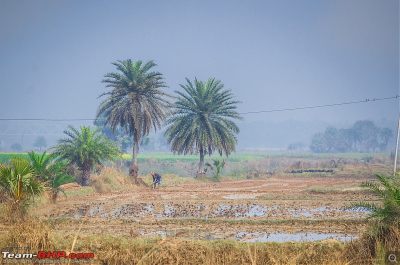 Winter weekends around Calcutta-_dsc1069.jpg