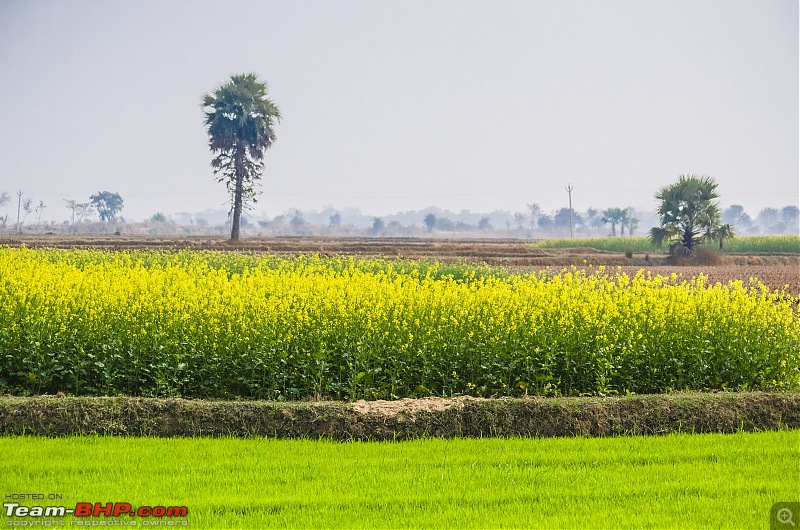 Winter weekends around Calcutta-_dsc1078.jpg