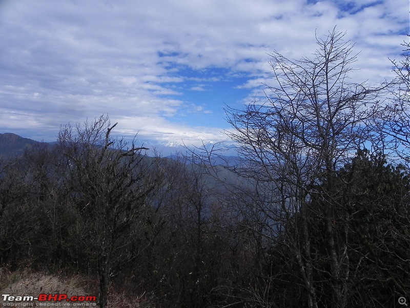 Trek to Sandakphu and Phalut-dscn4764.jpg