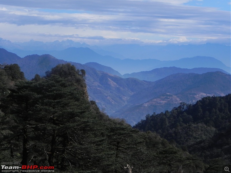 Trek to Sandakphu and Phalut-dscn4813.jpg