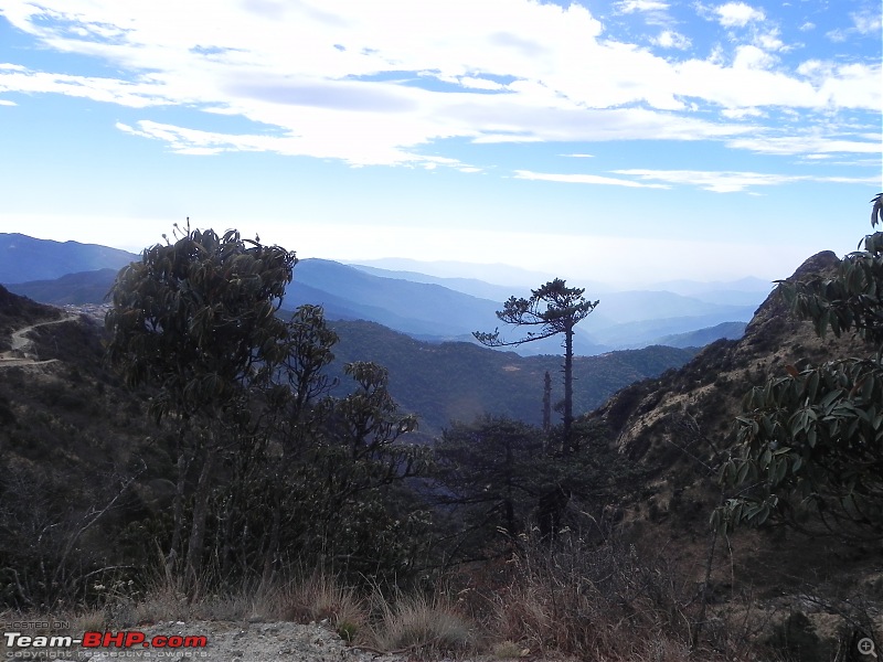 Trek to Sandakphu and Phalut-dscn4818.jpg