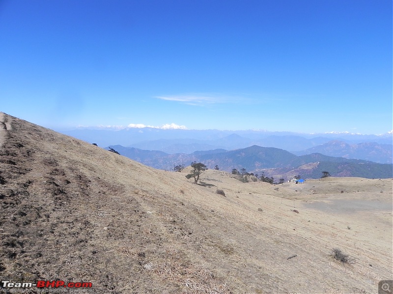 Trek to Sandakphu and Phalut-dscn4898.jpg