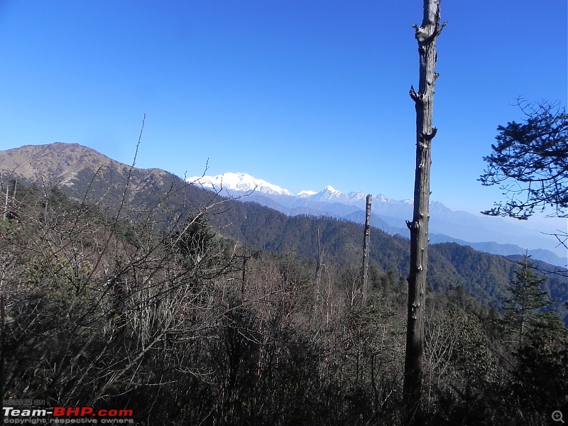 Trek to Sandakphu and Phalut-dscn4926.jpg