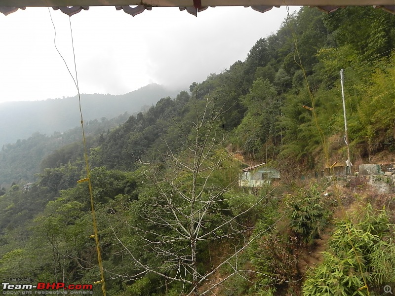 Trek to Sandakphu and Phalut-dscn4938.jpg