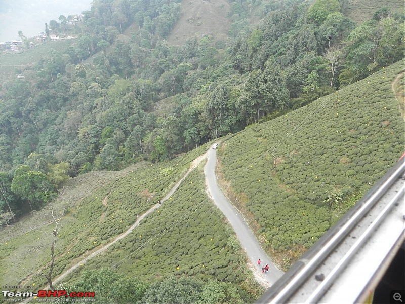 Trek to Sandakphu and Phalut-dscn4992.jpg