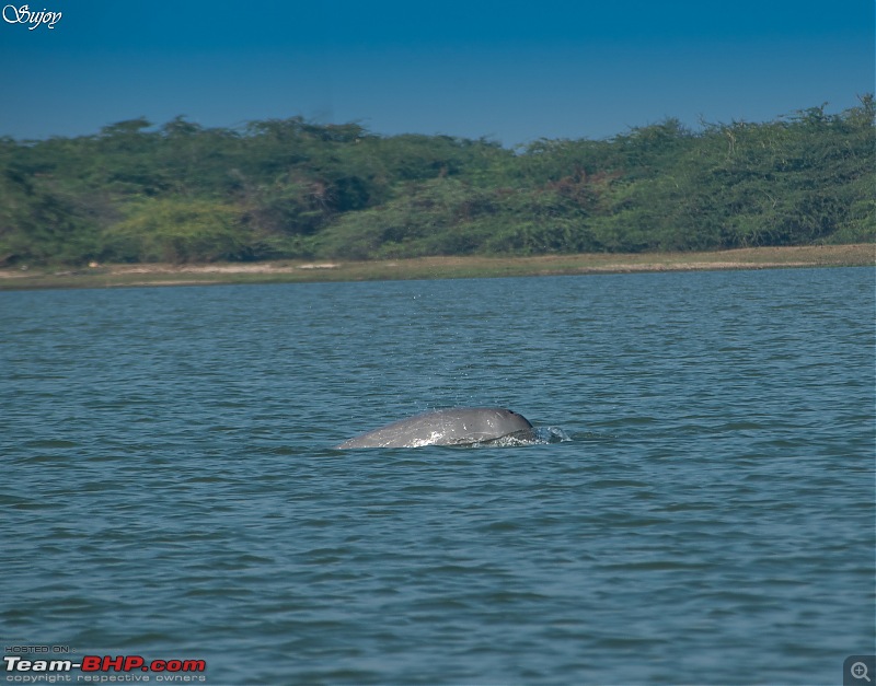 Sea, Sand and the Sun! Road Trip from Kolkata to Puri  The soul of incredible India-14.jpg