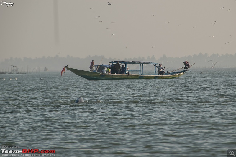 Sea, Sand and the Sun! Road Trip from Kolkata to Puri  The soul of incredible India-18.jpg