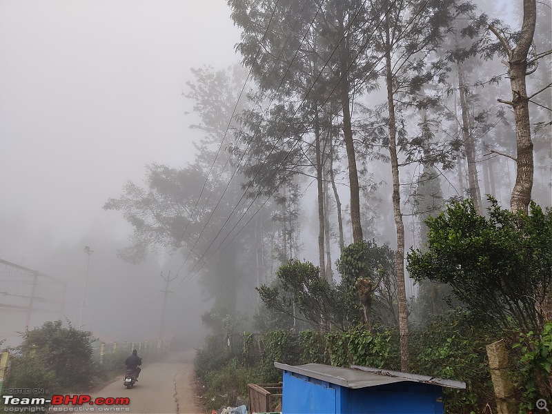 Drive to the misty mountains  Yercaud-img_20201223_081211.jpg