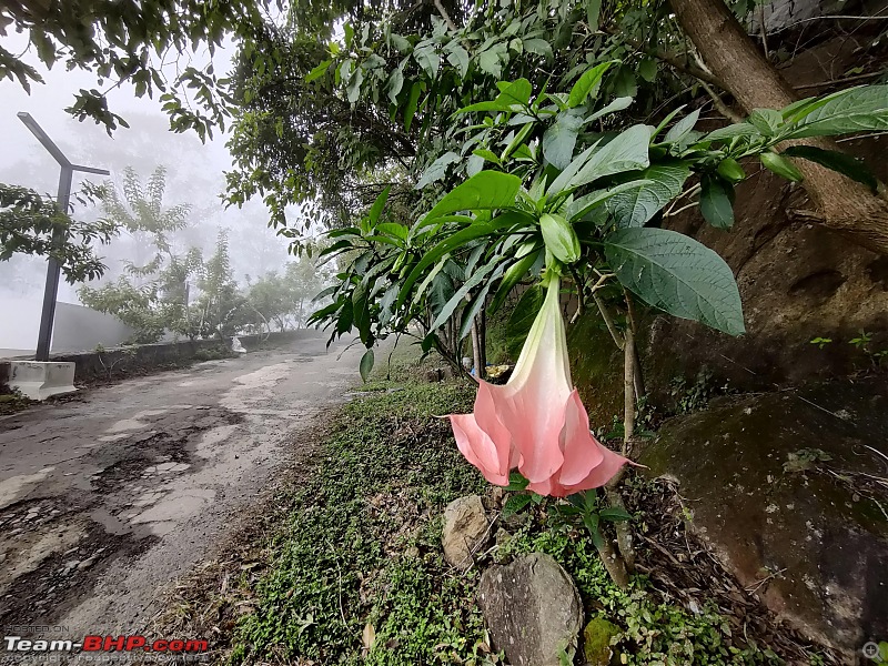 Drive to the misty mountains  Yercaud-img_20201223_082433.jpg