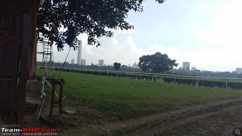 Kolkata | Exploring two bridges on foot-racecourse_nov2018_1.jpg