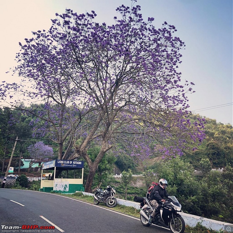 Chennai to Ooty in a CBR250 & RE650 | Camping Trip-5.jpeg