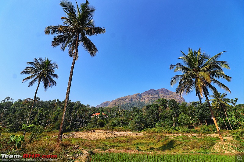 Quick weekend getaway to the Western Ghats-12-forest-walk-01.jpeg