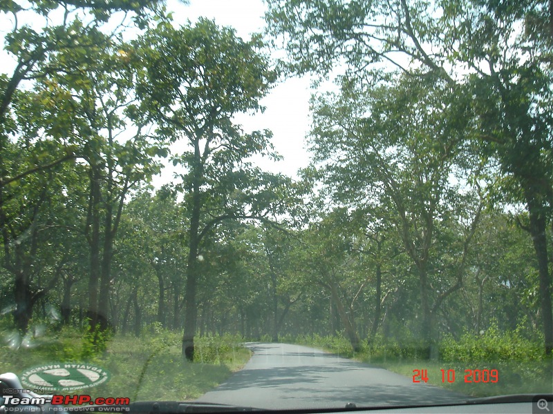 One Full Tank on my Black Beauty: Bangalore - Guruvayur -Bangalore: Verna CRDI SX-driving_thru_forest1.jpg