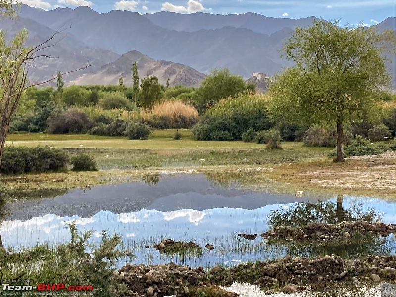 Birding Expedition to Leh-Ladakh-img_6146.jpg