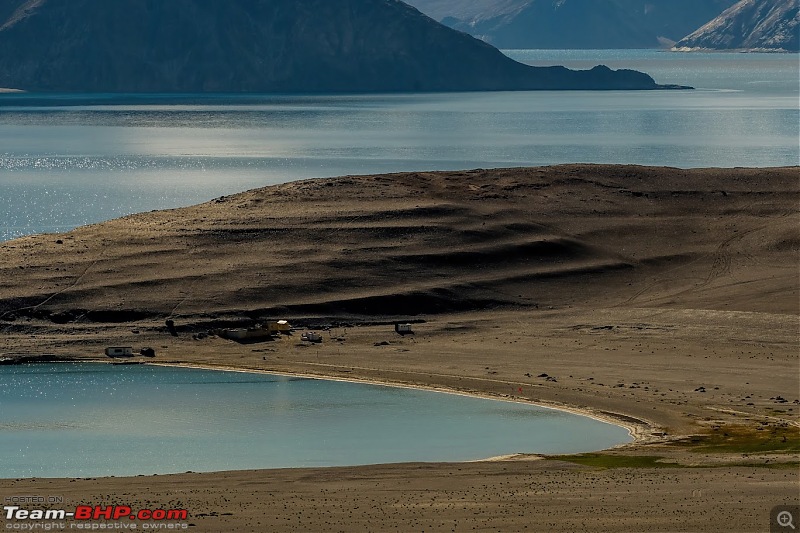 Birding Expedition to Leh-Ladakh-pang1.jpg