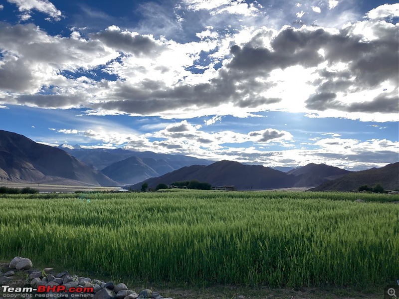 Birding Expedition to Leh-Ladakh-nyoma.jpg