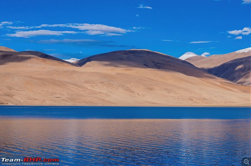 Birding Expedition to Leh-Ladakh-tso6.jpg