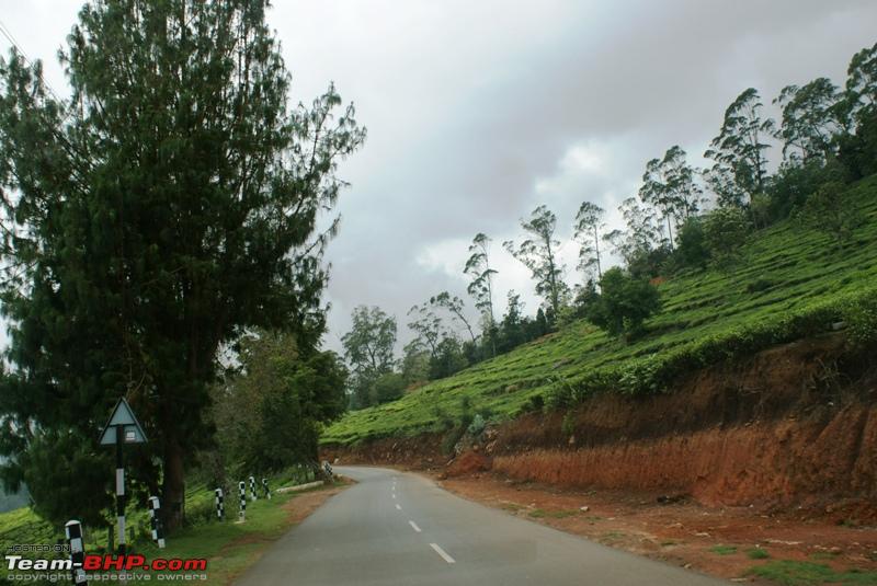 An incredible road trip to Velankanni, Kodaikanal and Ooty - Page 18 ...