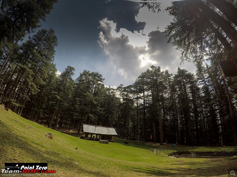 Two more passes added | Jalori Pass & Chanshal Pass (Himachal Pradesh) in a Toyota Yaris-gopr1526.jpg