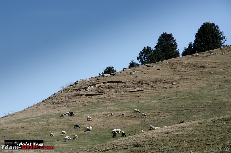 Two more passes added | Jalori Pass & Chanshal Pass (Himachal Pradesh) in a Toyota Yaris-tkd_2961.jpg