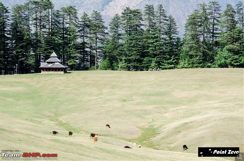 Two more passes added | Jalori Pass & Chanshal Pass (Himachal Pradesh) in a Toyota Yaris-tkd_3121.jpg