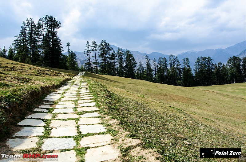 Two more passes added | Jalori Pass & Chanshal Pass (Himachal Pradesh) in a Toyota Yaris-tkd_3135.jpg