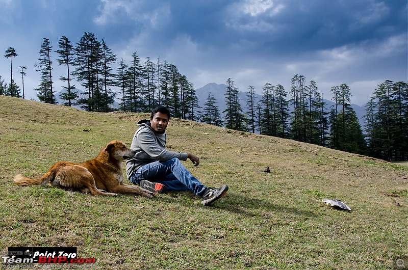 Two more passes added | Jalori Pass & Chanshal Pass (Himachal Pradesh) in a Toyota Yaris-tkd_3169.jpg