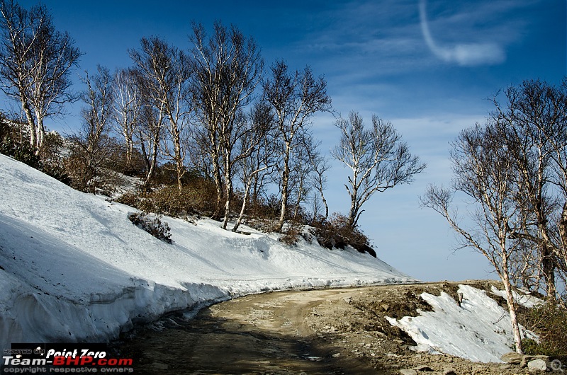 Two more passes added | Jalori Pass & Chanshal Pass (Himachal Pradesh) in a Toyota Yaris-tkd_3790.jpg