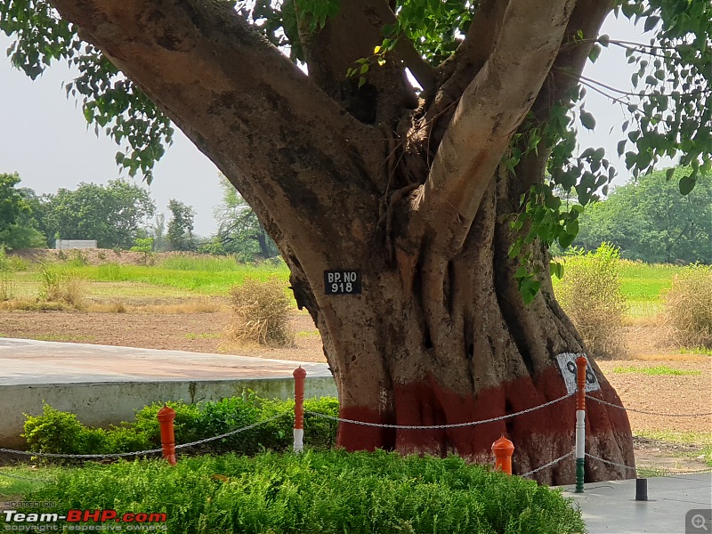 Suchetgarh Border Outpost (J&K); where a Banyan tree marks the International border-pillar-918.jpg