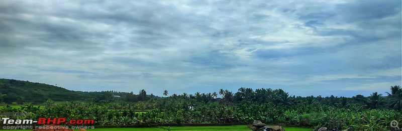 Konkan rainy drive | Goa to Kochi in a BMW 330i-coconutgroves.jpg