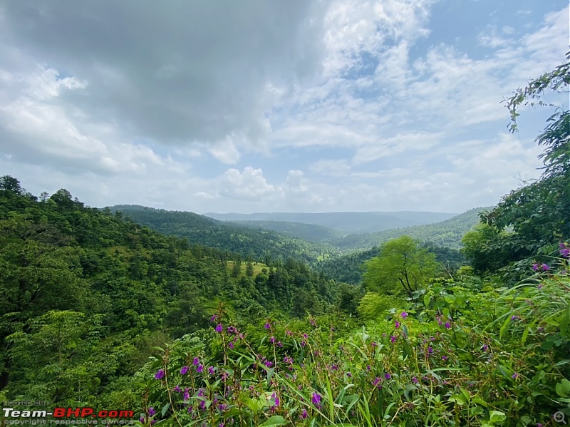 3 Thars and a Monsoon Drive to the Western Ghats-5e10e04220734f2fb0020a3b94d655cf.jpeg