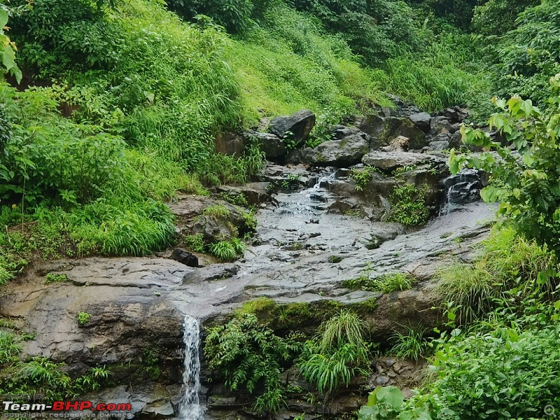 3 Thars and a Monsoon Drive to the Western Ghats-6afaacfd74204270ace1acce85fb6c4e.jpeg