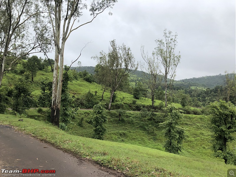 Kaas! If only...Tapola in a Tata Nexon-green-road.jpg