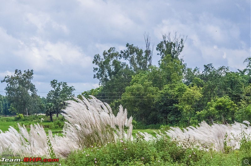 A Monsoonal Symphony in Netarhat-_dsc1816.jpg