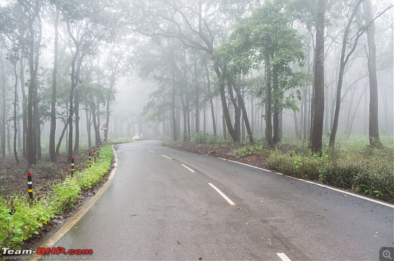 A Monsoonal Symphony in Netarhat-_dsc1933.jpg