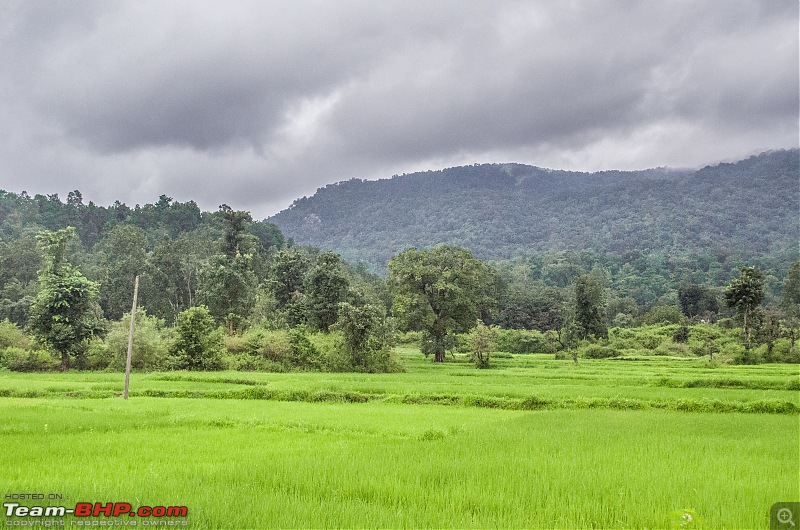 A Monsoonal Symphony in Netarhat-_dsc1940.jpg