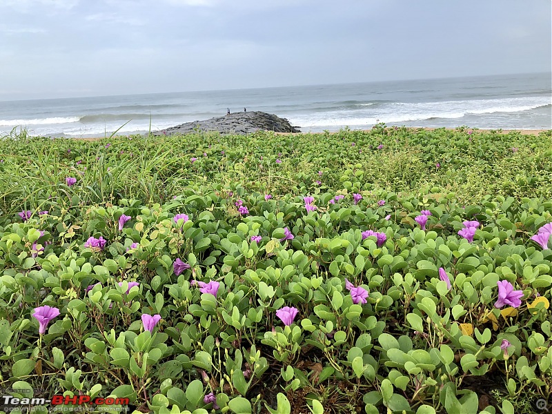 Grey Car, Grey Skies, Colourful Drive | Kollur, Udupi and Murudeshwar in an Audi A6-greens-violet-grey-blue.jpg