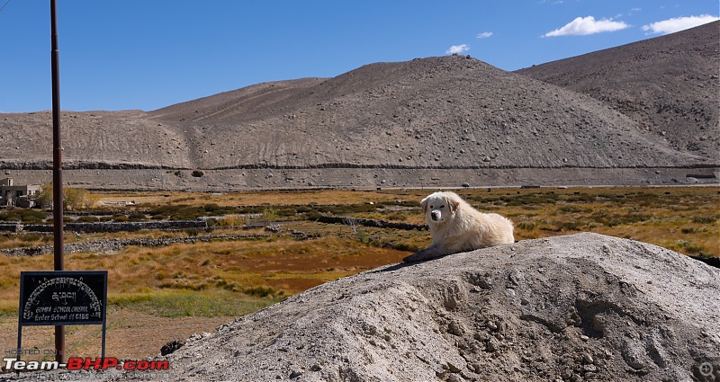 Almost a two-year wait for Ladakh | 16 day & 5740 km road-trip in a Skoda Kodiaq-tbhp84.jpg
