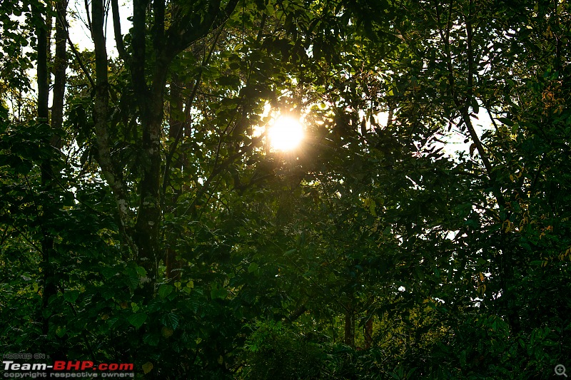 Western Ghats, Temples and an old car-dsc_64332.jpg