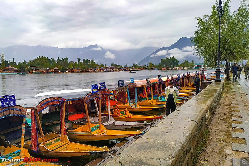FALL in love with Kashmir | A 5500 km Innova Crysta venture from Kolkata-01.-dal-boats-lined-up-road.jpg